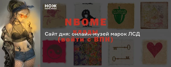 МДПВ Новозыбков