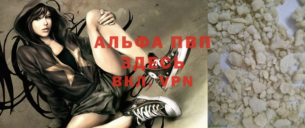 МДПВ Новозыбков