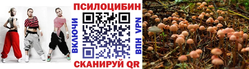 Галлюциногенные грибы Psilocybe наркотики Рассказово