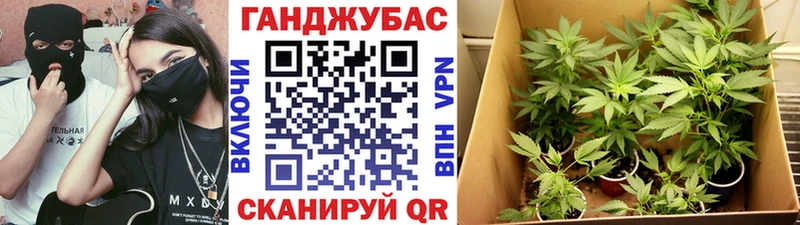 Шишки марихуана семена  Рассказово 